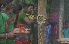 महिलाशक्ति: आदिवासी महिलाओं ने वन-माफिया की लूट से बचाया जंगल