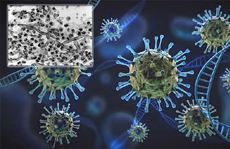 ब्लैक फंगस महामारी से जुड़े कुछ महत्त्वपूर्ण तथ्य, खतरा और सावधानी