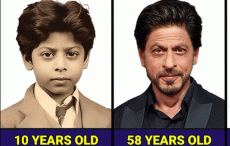 50 रुपये से शुरू हुआ सफर, आज कितना कमाते हैं  किंग खान?