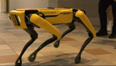 भारतीय सेना ने तैनात किए रोबोटिक डॉग्स