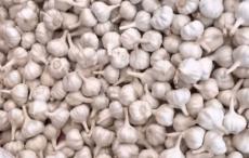 शारीरिक कमजोरी से लेकर हॉर्मोनल बैलेंस तक, पुरुषों के लिए रामबाण है लहसुन