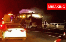 सऊदी अरब के मदीना शहर में हुआ भीषण सड़क हादसा, एक ही परिवार के 18 लोगों की मौत