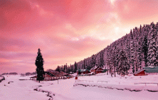 जम्मू-कश्मीर में फिर एक्टिव हुए आतंकी, भारत के खिलाफ पाकिस्तान की बड़ी साजिश