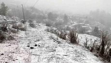 पहाड़ों पर भारी बारिश-बर्फबारी, कई राज्यों में कड़के की ठंड, IMD का अलर्ट जारी