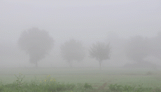 बारिश के आसार, जानें नए साल पर कैसा रहेगा मौसम