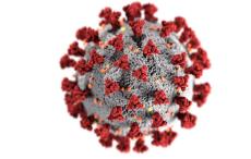 6000 के पार हुई कोरोना संक्रमितों की संख्या, 24 घंटों में 6 की मौत