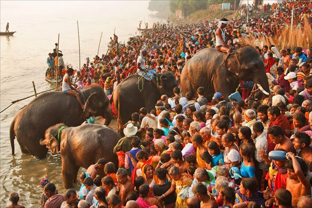 महीना भर चलता है विश्व प्रसिद्ध सोनपुर मेला