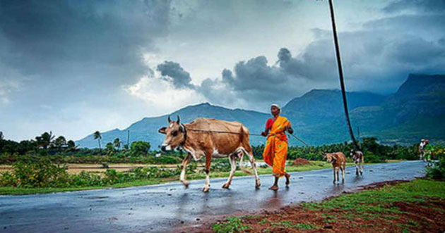 मानसून और पूर्वानुमानः कितनी सच्चाई, कितना फसाना