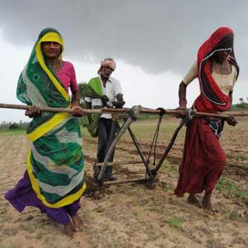 बिहार के किसानों को इंद्र देवता की मेहरबानी का इंतजार