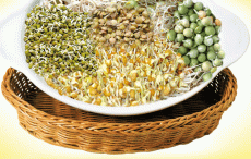 अंकुरित मूंग दाल बनाम अंकुरित काला चना, कौन है ज्यादा फायदेमंद? 